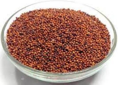 Glucose Unpolished Raagi Millet-Sugar Free Finger Millet For High Nutritional Values