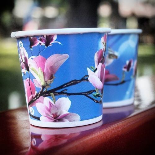 177 To 300 Gsm 65 Ml Printed Round Shape Floral Paper Cup