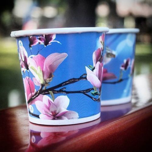 177 To 300 Gsm 65 Ml Printed Round Shape Floral Paper Cup Application: Serving Coffee