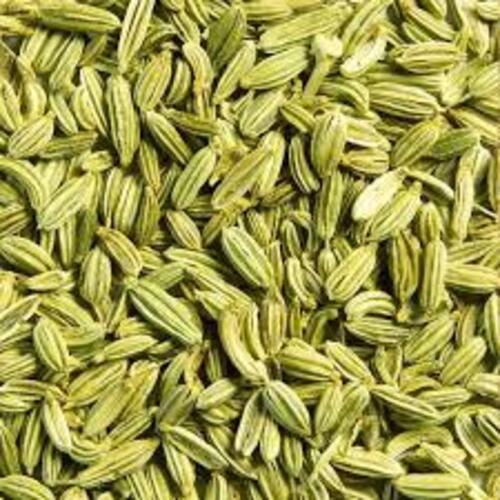 Washable Pure Rich In Taste Natural Healthy Dried Green Fennel Seeds