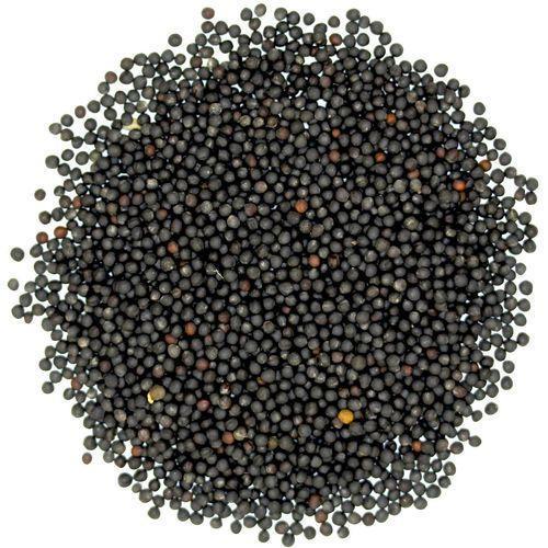 Purity 100 Percent Rich in Taste Healthy Natural Black Mustard Seeds