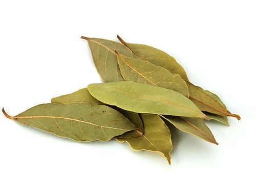 Rich Aroma Natural Taste Green Organic Dried Bay Leaves