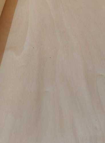 First Glass Grade Brown Color 1 Mm Pine Face Veneer, 1mm Thickness