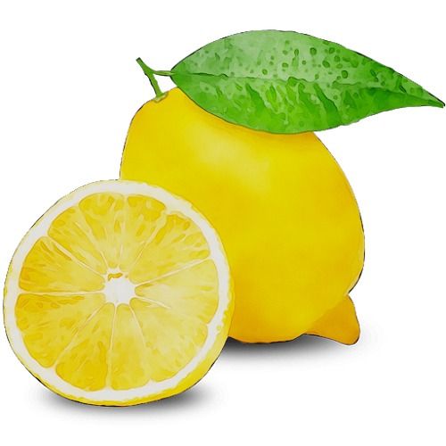 100% Pure Natural Vitamin C Rich Organic And Fresh Seedless Lemon