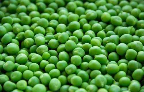 5-12 Cm Size Organic Fresh Green Peas, Good For Health