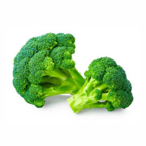 Delicious Healthy Rich Natural Taste Green Fresh Broccoli