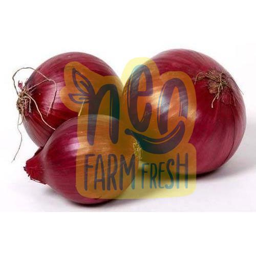 Enhance the Flavour Natural Taste Healthy Red Fresh Onion