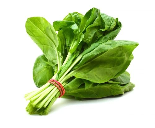 Fine Rich Natural Taste High Fibre Healthy Green Fresh Spinach