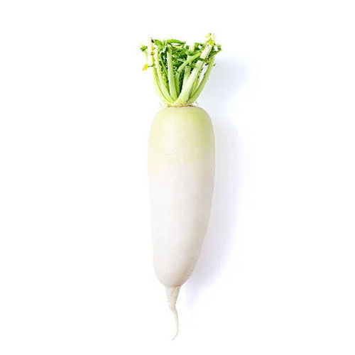 High Fibre Rich Natural Taste Healthy Fresh White Radish