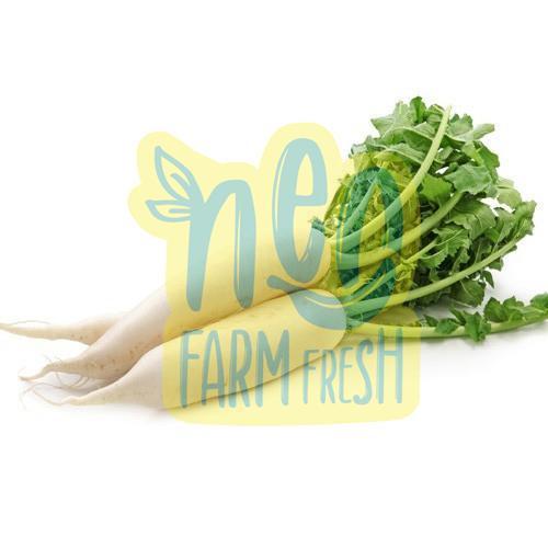 Long High Fibre Rich Natural Taste Healthy Fresh White Radish