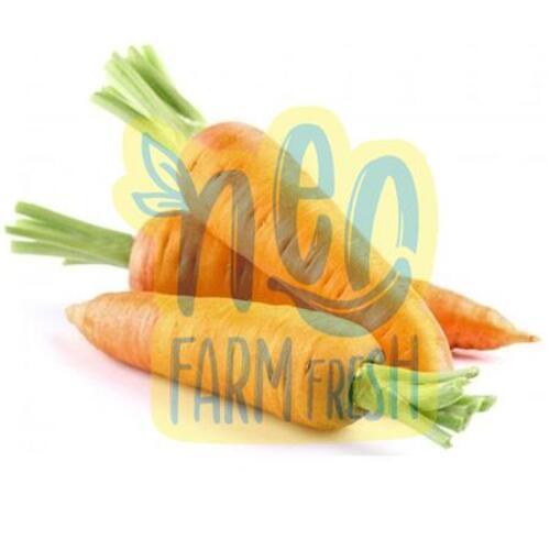 Natural Delicious Taste Good For Health Fresh Carrot