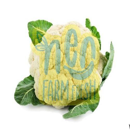 Natural Rich Taste Healthy Delicious White Fresh Cauliflower Shelf Life: 10 Days