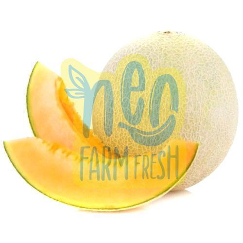 Nutritious Healthy Natural Taste Light Yellow Fresh Muskmelon Origin: India