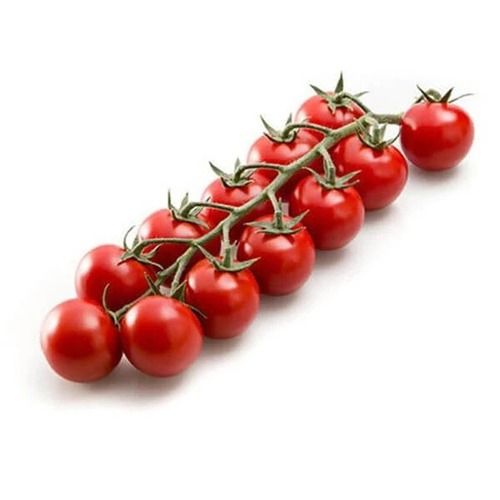 Rich Natural Taste Healthy Fresh Red Cherry Tomatoes