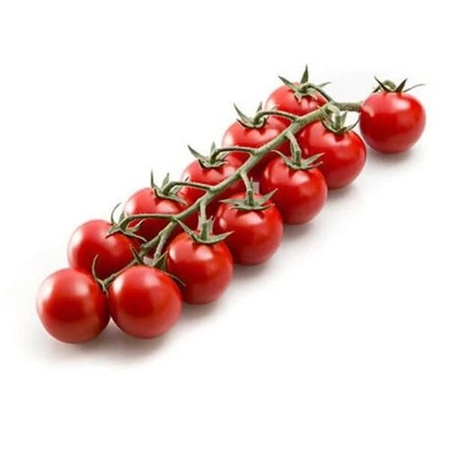 Round & Oval Rich Natural Taste Healthy Fresh Red Cherry Tomatoes