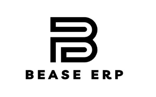 Bease Erp Solutions Services