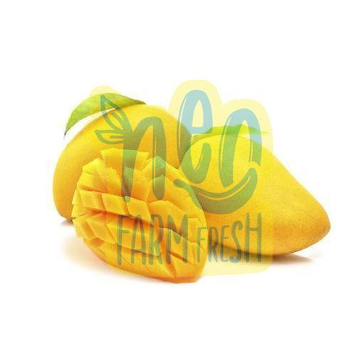 Bore Free Delicious Sweet Natural Rich Taste Healthy Yellow Fresh Mango