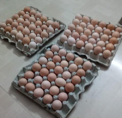 Farm Fresh Country Chicken Eggs