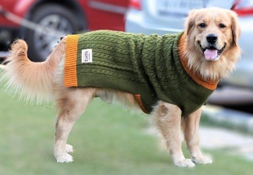 Colour Fastness Green Turtle Neck Sleeveless Regular Fit Ultra Warm Soft And Smooth Acrylic Knit Dog Plain Sweater