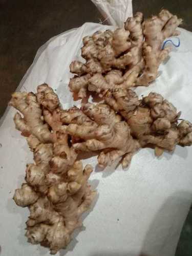 100% Pure And Natural Hygienically Packed A Grade Fresh Ginger - Adrak Moisture (%): 85