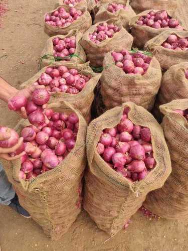 100% Pure and Orgaic A Grade Whole Red Onion with Large Size