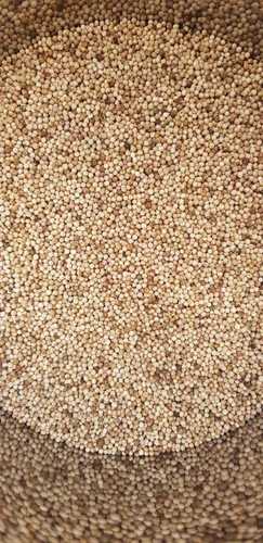 100% Pure Farm Fresh Natural Dried Poppy Seeds - Khasakhas