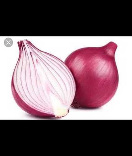 Hygienic and Natural Taste Fresh Red Onion Without Added Color