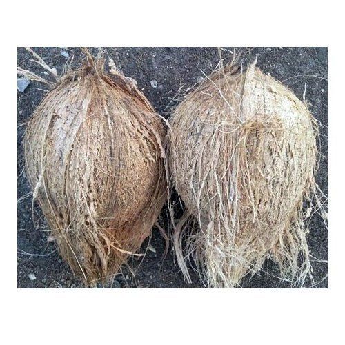 Farm Fresh Natural Semi Husked Coconut is Low in Carbs and High in Fiber 