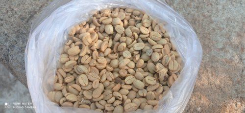 Common Natural And Fresh Brown Color Pure Coffee Seed