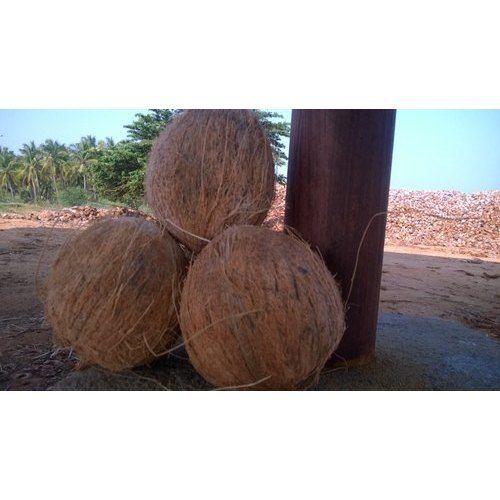 husked coconut