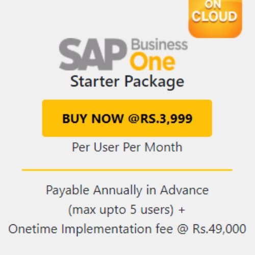 SAP Business One Starter Package Services