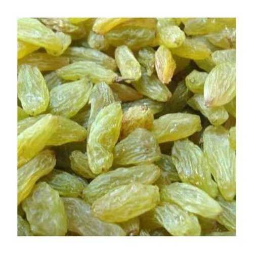 Sweet Natural Healthy Sun Dried Long Organic Green Raisins Origin: India