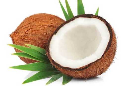  From Impurities Soft Texture Brown Round Mature Coconut