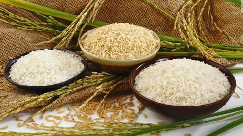 A Grade 100% Pure and Organic Medium Grain White and Brown Boiled Rice