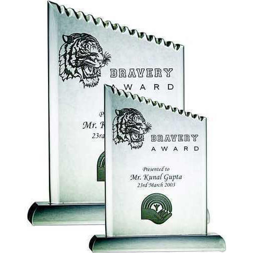 Acrylic Bravery Award With 6Inch Width And 10-12 Inch Length