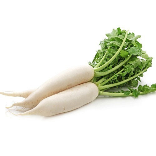 Long High Fibre Rich Natural Taste Healthy Fresh White Radish