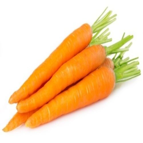 Maturity 100 Percent Rich Natural Delicious Taste Organic Orange Fresh Carrot