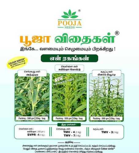 Golden-Brown A-Grade 100% Pure Organic Sesame Seeds - Rich in Fiber, Heart Health Support, Diabetes & Arthritis Relief, Immune System Boost, Vegan-Friendly