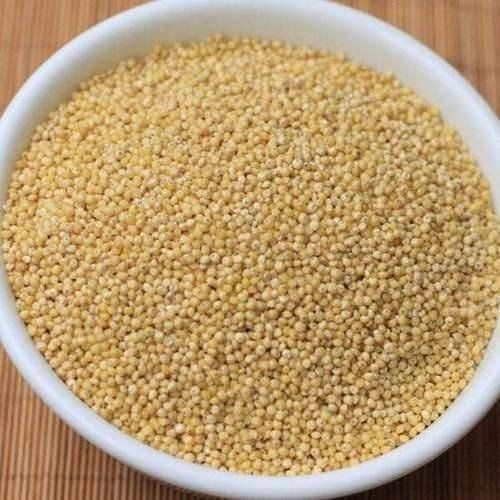 9.8 Percent Fiber Gluten Free Organic Edible Brownish Barnyard Millet Purity: 99%