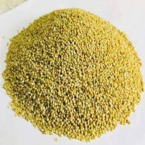 Low-Fat Gluten Free With 12.5% Fiber Greenish Edible 1000 Gm Browntop Millet