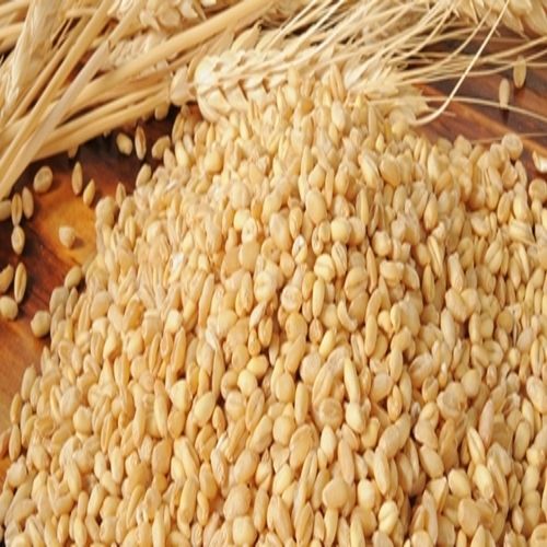 Healthy Natural Rich Delicious Taste Dried Brown Wheat Seeds