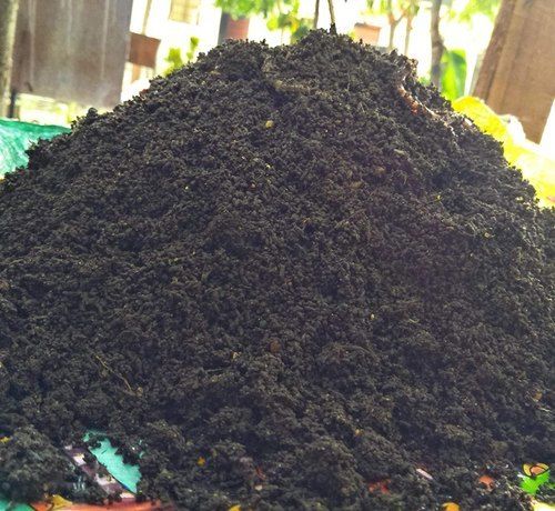 Plant Based Organic Vermicompost Powder For Agriculture