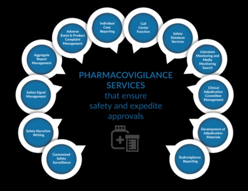 Pharmacovigilance, Euqppv, Safety Database, Psur, Rmp Services By Medwisdom Lifesciences Private Limited