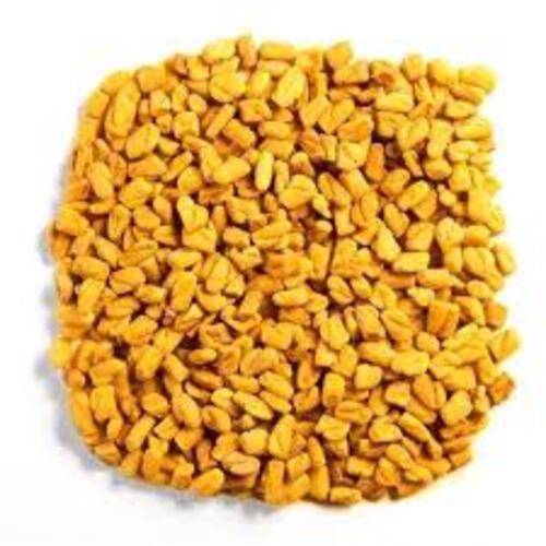 Rich In Taste Dried Healthy Yellow Organic Fenugreek Seeds