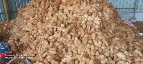 Brown 100% Pure Ad Natural Semi Husked Farm Fresh Dried Coconut 500Kg