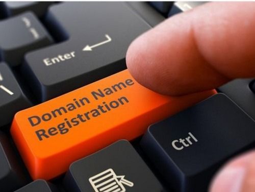 Domain Name Registration Service