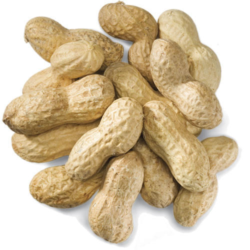 Natural Taste Healthy Fssai Long Shelf Life Hybrid Shelled Groundnuts  Origin: India