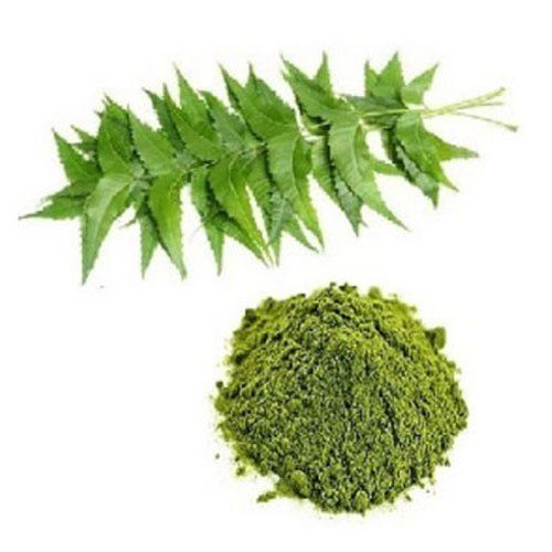 100% Organic Neem (Azadirachta Indica) Extract Dry Powder For Medicinal Use