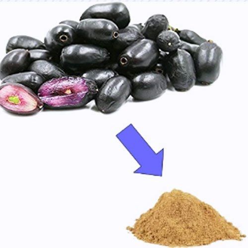 Herbal Product Organic Anti-Diabetic Jamun Syzygium Cumini Seed Extract Dry Powder (Ratio-10:1)