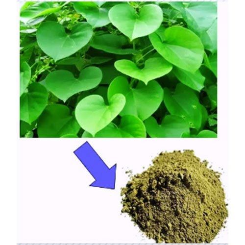 Organic Guduchi Giloy (Tinospora Cordifolia) Extract Dry Powder For Immunity